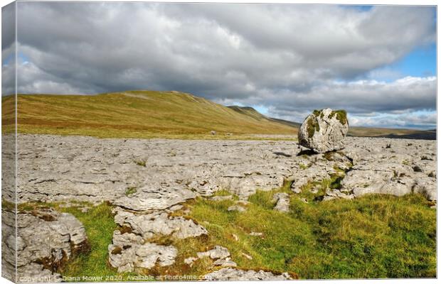 Twistleton Scar and Whernside Erratic Yorkshire  Canvas Print by Diana Mower