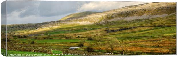 Yorkshire Dales Landscape  Canvas Print by Diana Mower