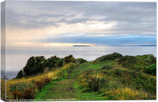  Flatholm island from Sand Point  Canvas Print by Diana Mower