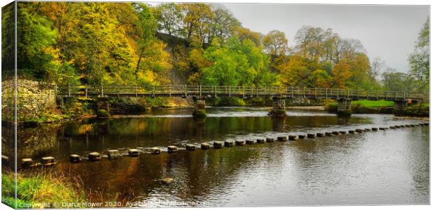 Stepping Stones and bridge Bolton Abbey Canvas Print by Diana Mower