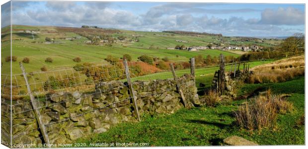 Yorkshire Dales Near Haworth  Canvas Print by Diana Mower