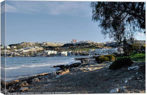 Mellieha Beach and town and Malta Canvas Print by Diana Mower