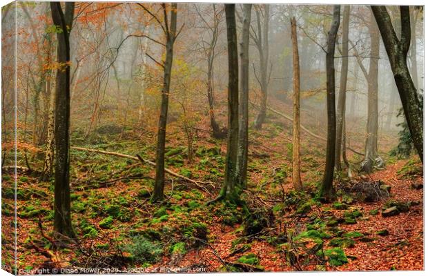Forest of Dean Autumn Canvas Print by Diana Mower