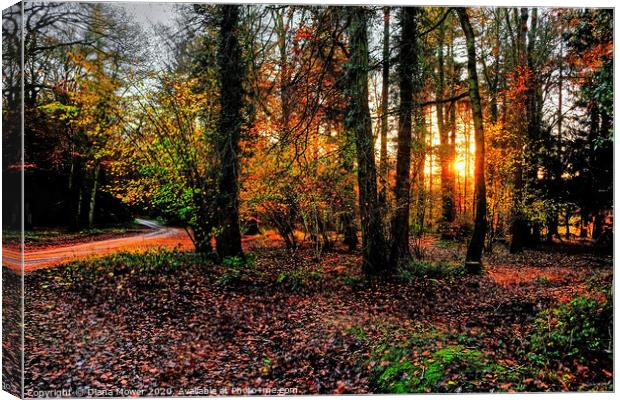 Forest of Dean Autumn Sunset Canvas Print by Diana Mower