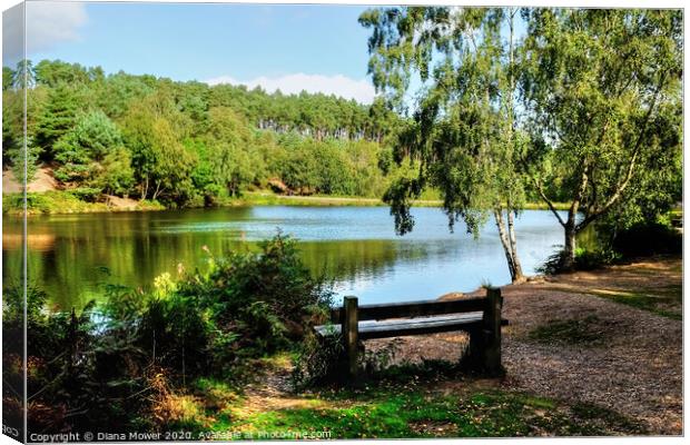 Cannock Chase, a seat by the  Lake  Canvas Print by Diana Mower