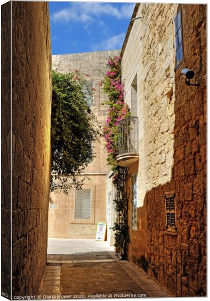 Mdina The Silent City Malta Canvas Print by Diana Mower