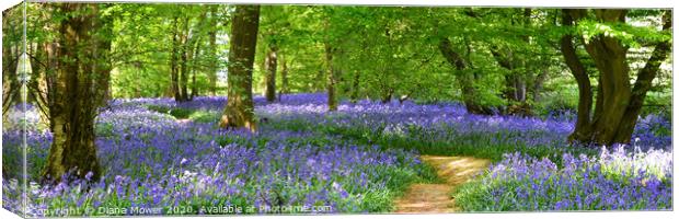 English Bluebell Woodland Path  Canvas Print by Diana Mower