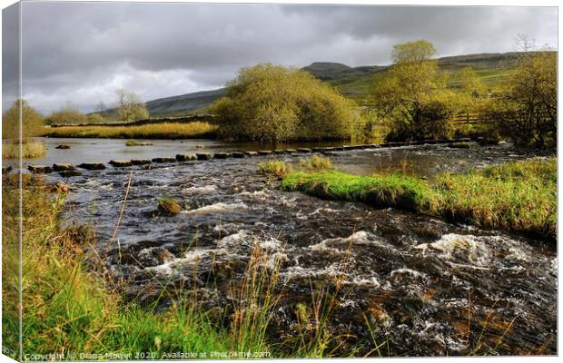 River Doe Stepping stones Yorkshire Dales Canvas Print by Diana Mower