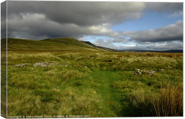 Yorkshire Dales Whernside  Landscape Canvas Print by Diana Mower