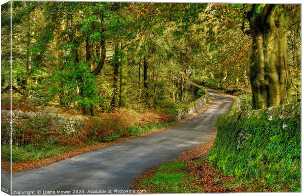 Yorkshire Dales Country Road Canvas Print by Diana Mower