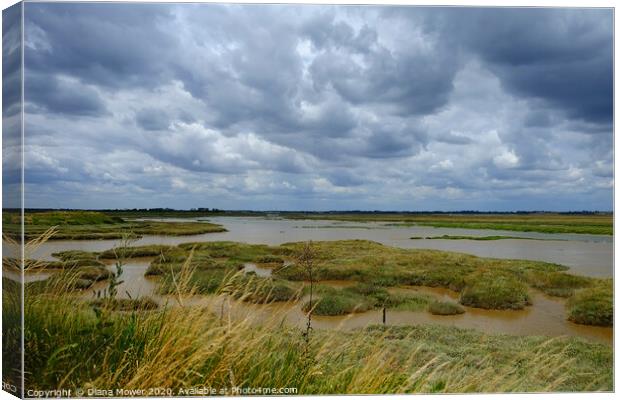  The Walton Backwaters Essex Canvas Print by Diana Mower