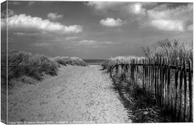Mablethorpe beach Lincolnshire Monochrome Canvas Print by Diana Mower