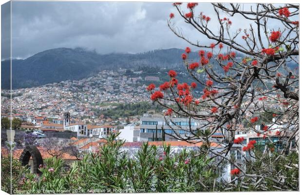 Funchal Madeira Portugal Canvas Print by Diana Mower