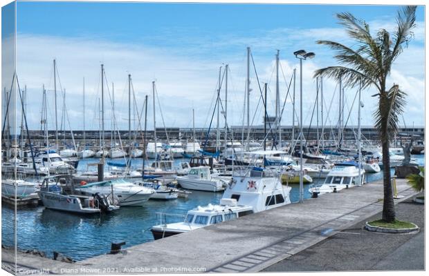 Leisure boats in the Port of  Funchal Madeira Canvas Print by Diana Mower