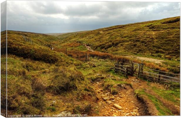 Footpath to Pendle Hill Summit  Canvas Print by Diana Mower