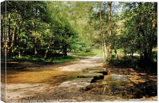 Cannock Chase Stepping Stones Canvas Print by Diana Mower