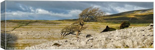 Twistleton Scar  Yorkshire Dales Panoramic Canvas Print by Diana Mower