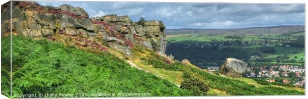 The Cow and Calf Panoramic View Canvas Print by Diana Mower