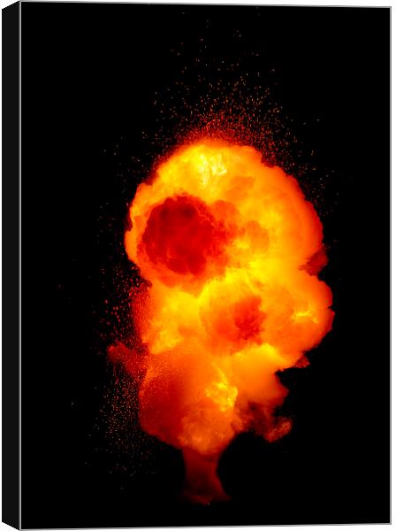 Explosion Canvas Print by Shane Lewis
