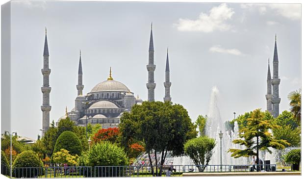 The Blue Mosque Istanbul Canvas Print by Arfabita  