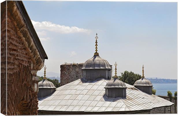 Window view Hagia Sophia Canvas Print by Arfabita  