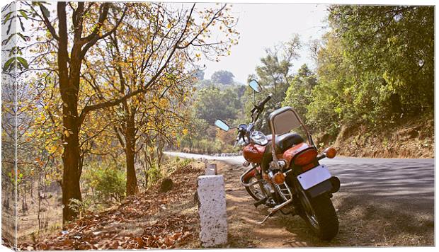 Bike Rest under Autmmn Leaves Canvas Print by Arfabita  