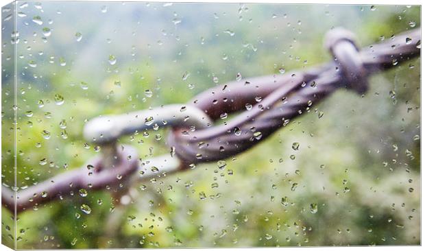 Cable tie through raindrops Canvas Print by Arfabita  