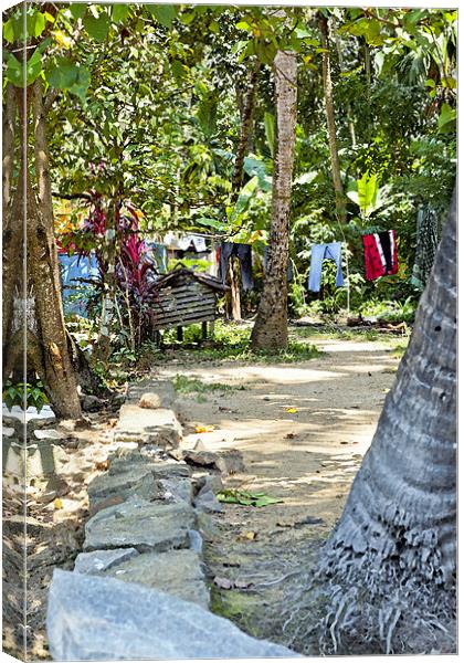 Washing line in Kerala Glades Canvas Print by Arfabita  