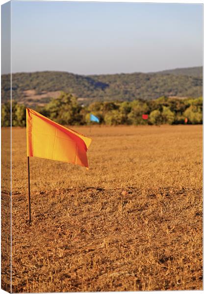 Yellow flag golf drive range Canvas Print by Arfabita  