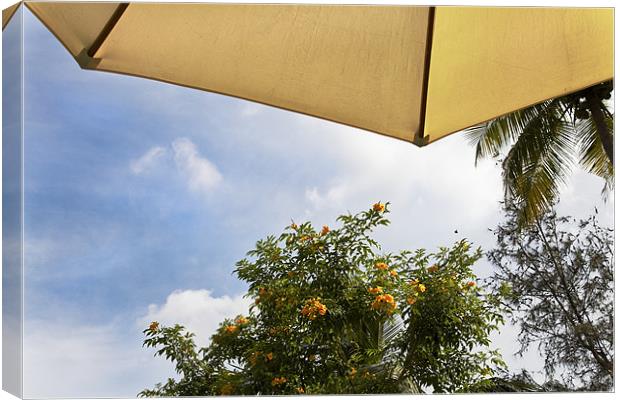 Tropical parasol under coconut palms Canvas Print by Arfabita  