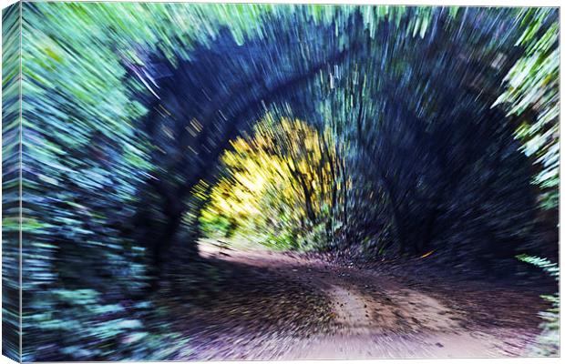 Motion Blue Tree Tunnel Canvas Print by Arfabita  