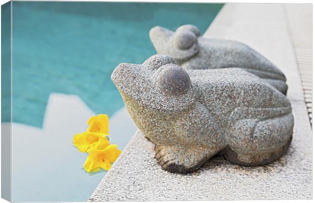 West facing stone frogs by poolside Canvas Print by Arfabita  