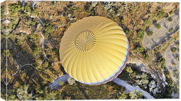 Aerial of a hot air balloon Canvas Print by Arfabita  