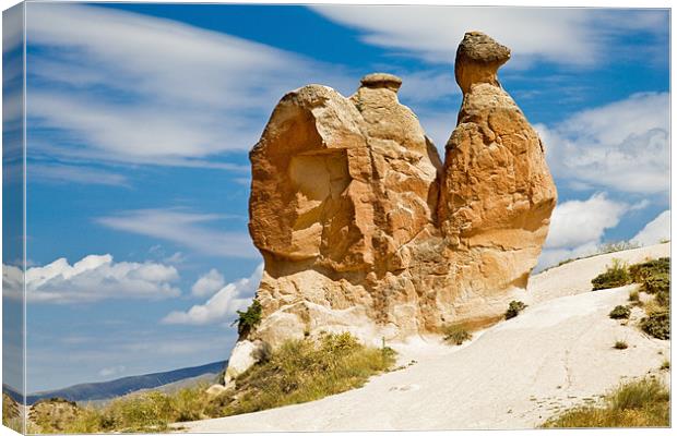 Sandstone Camel Snail Canvas Print by Arfabita  