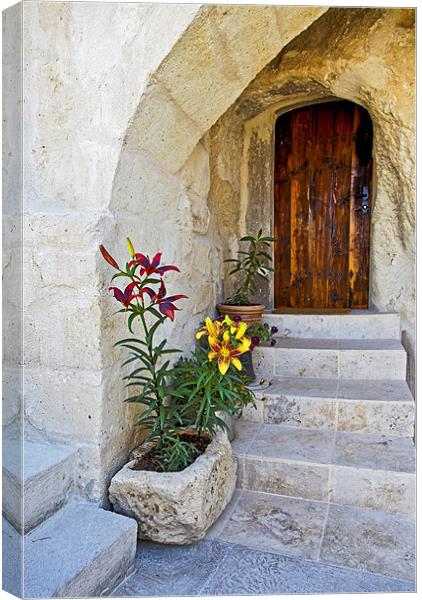 Past the flowerbeds up the steps Canvas Print by Arfabita  