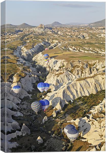 Gorged hot air balloons Canvas Print by Arfabita  