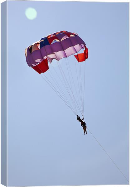 Male and Female gliders in clear blue sky Canvas Print by Arfabita  