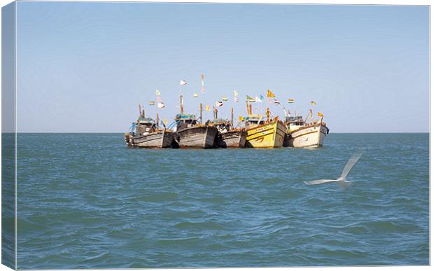 Line up of Fishing boats Gull checks in Canvas Print by Arfabita  