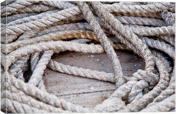 Rusted Boating Rope Canvas Print by Arfabita  