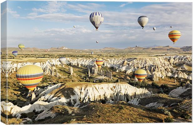 Gorgious hot air balloons Canvas Print by Arfabita  