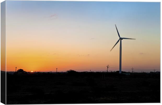 Another new day for windmill on Dwarka Plains Canvas Print by Arfabita  