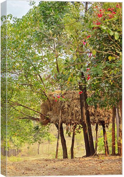 Indian cattle rearing haystack on stilts Canvas Print by Arfabita  