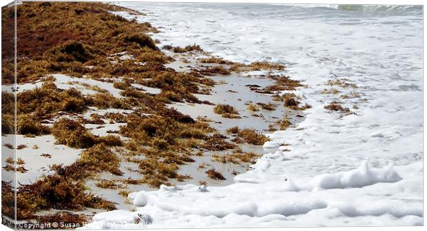 Seafoam Canvas Print by Susan Medeiros