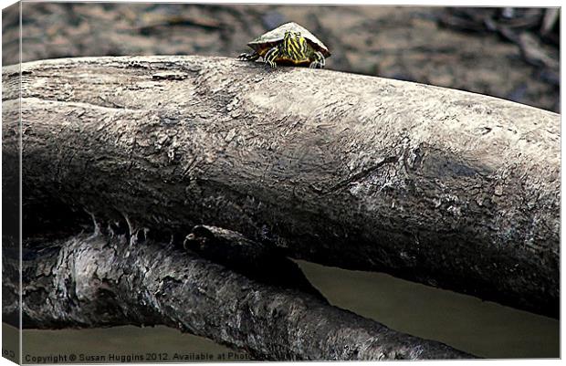 Hanging Out On the River Canvas Print by Susan Medeiros