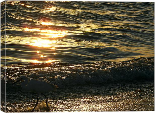 Silhouette of an Egret Canvas Print by Susan Medeiros