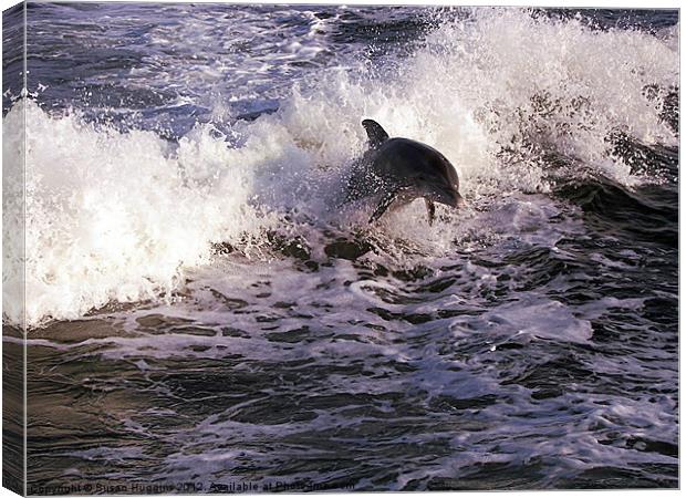 Breeching the Waves (Dolphin 1) Canvas Print by Susan Medeiros