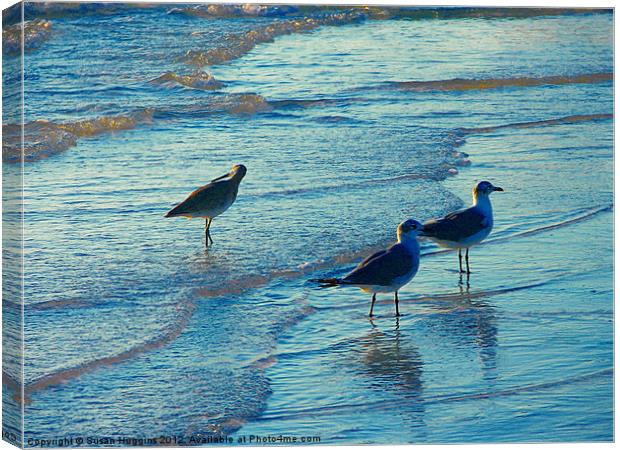 Water Play Canvas Print by Susan Medeiros