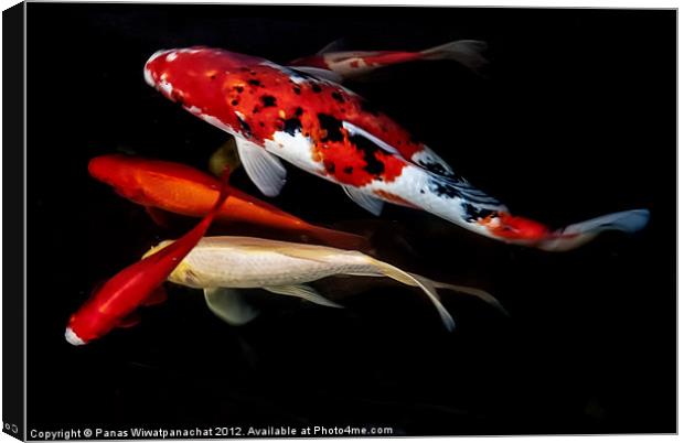 Horizontal Koi Canvas Print by Panas Wiwatpanachat