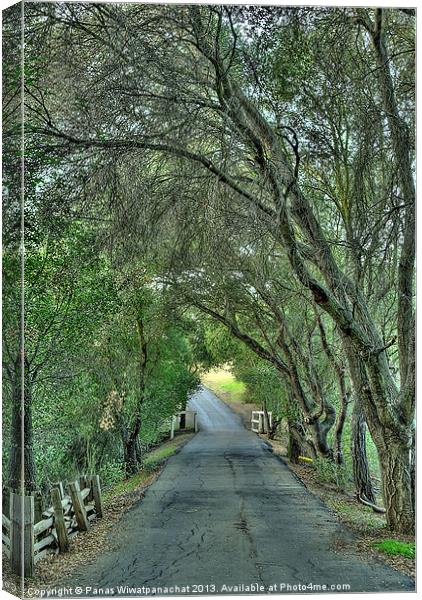 Tree Tunnel Canvas Print by Panas Wiwatpanachat