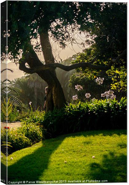 African Lily Garden Canvas Print by Panas Wiwatpanachat